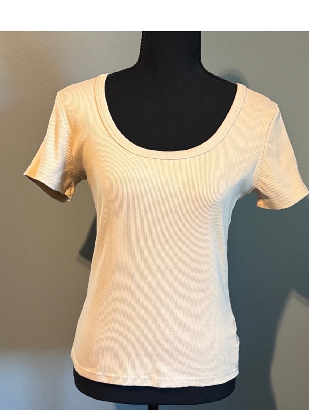 Women's Scoop Neck Short Sleeve Tee in Cream